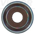 Seal Ring, valve stem